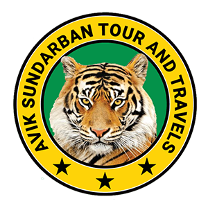 Avik Sundarbon Tour and Travels